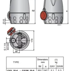 Calpeda GXV 25-6 Submersible Dirty Water Pump -Excelsior Sales Store 46525 22829
